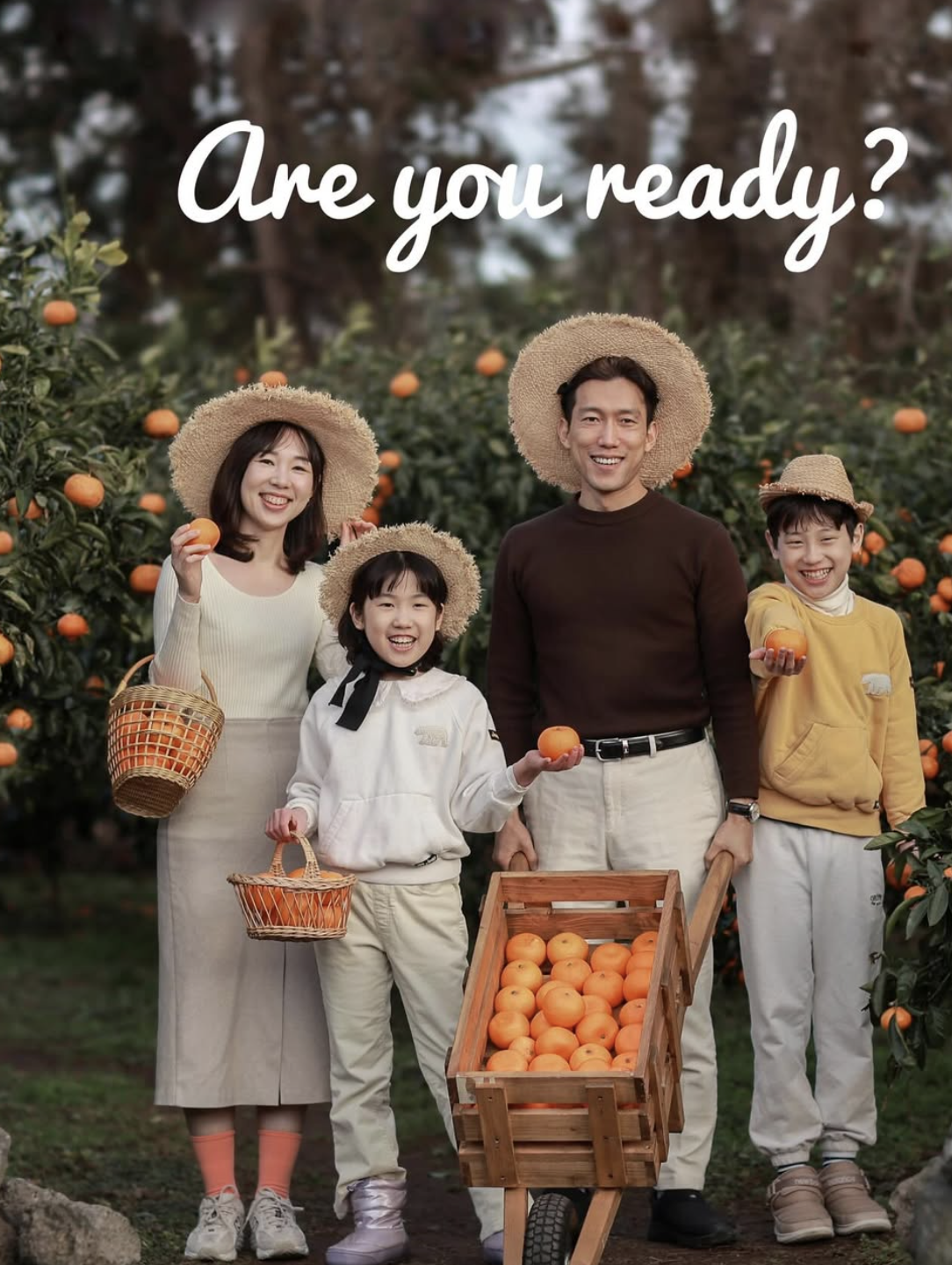 제주귤반스튜디오