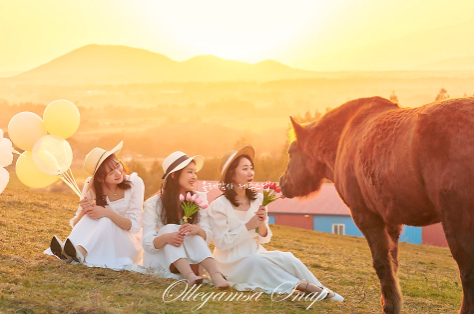 올레감사제주스냅